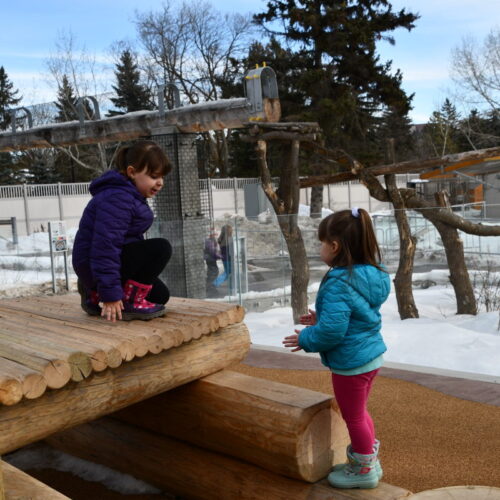 Edmonton Valley Zoo Is Open for Winter 2022
