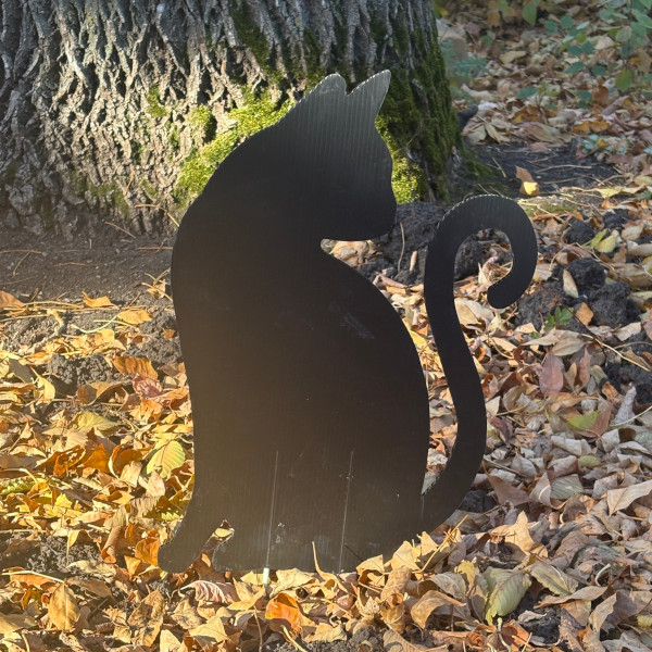 Boo at the Zoo 2025 A spooky black cat silloutte